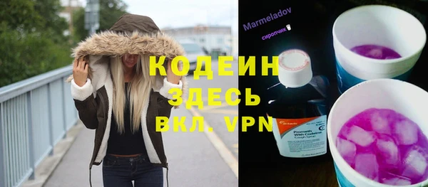 крисы Каменка