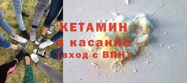 крисы Каменка