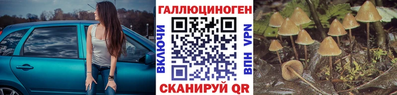 Купить где  Белая Калитва  Галлюциногенные грибы Psilocybine cubensis 